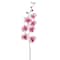 Orchid Spray by Ashland®